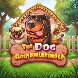 The Dog House Multihold game at Bizzo Casino for Australia players The Dog House Multihold game at Bizzo Casino for Australia players